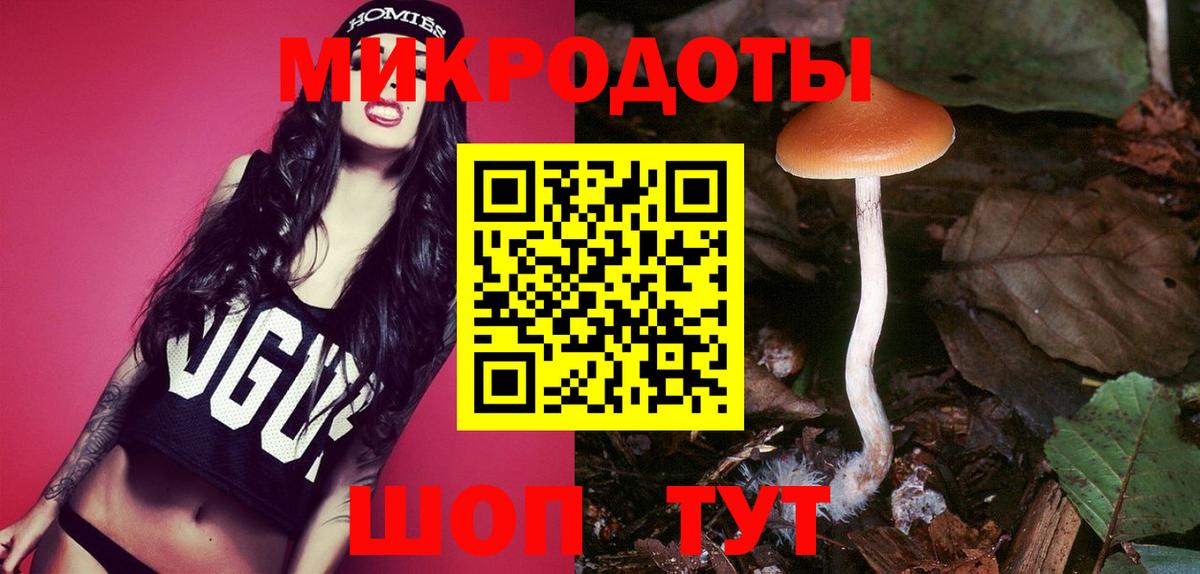 Галлюциногенные грибы Cubensis Янаул