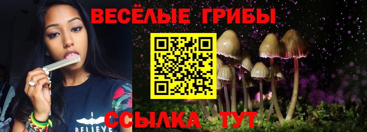 Янаул  Псилоцибиновые грибы MAGIC MUSHROOMS  где купить наркоту  Вход с VPN 