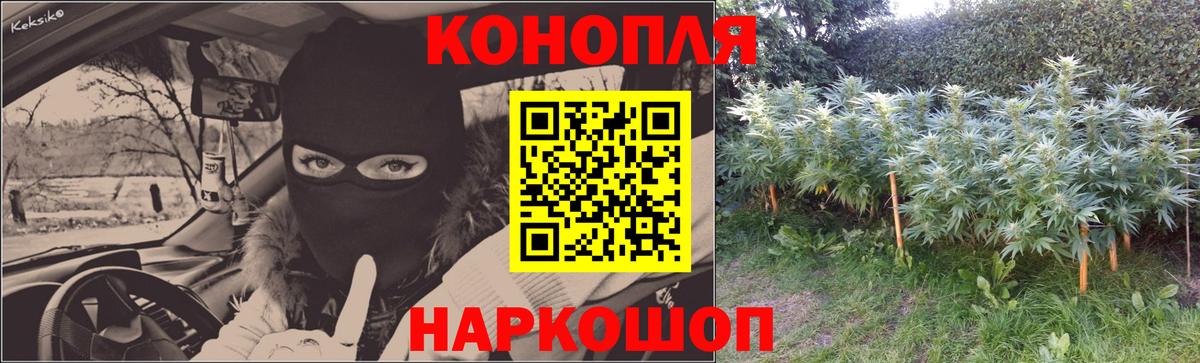 Шишки марихуана Amnesia  Бошки Шишки тримм  Конопля план  Янаул  Вход с VPN 